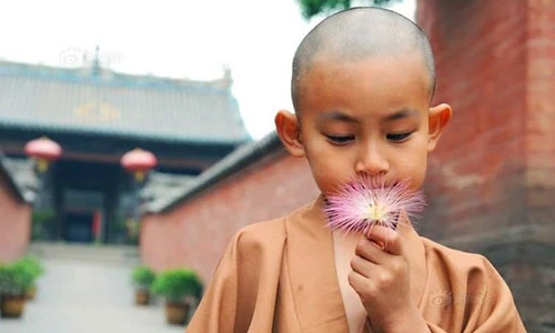 Video: Hại 4 người này mất ngay phúc báo trong đời
