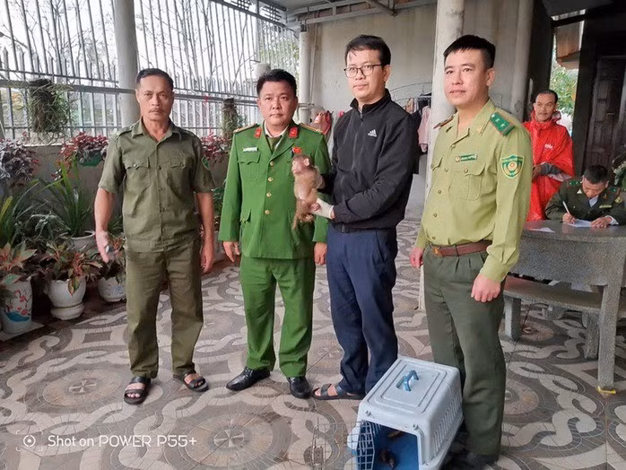 Vào ngày 14/12, Trung tâm Cứu hộ, Bảo tồn và Phát triển sinh vật thuộc Vườn quốc gia Phong Nha - Kẻ Bàng (tỉnh Quảng Trị) cho biết đã tiếp nhận một cá thể khỉ mốc và một con khỉ mặt đỏ quý hiếm. Chúng được người dân và chính quyền bàn giao. Ảnh: Người lao động.