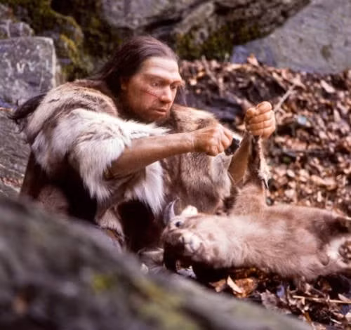 Phát hiện này cung cấp thông tin cho thấy chế độ ăn uống của người Neanderthal - một trong những họ hàng đã tuyệt chủng từ lâu của loài người. Ảnh: Pressebilder Neanderthal Museum, Mettmann/Wikimedia Commons, CC BY-SA.