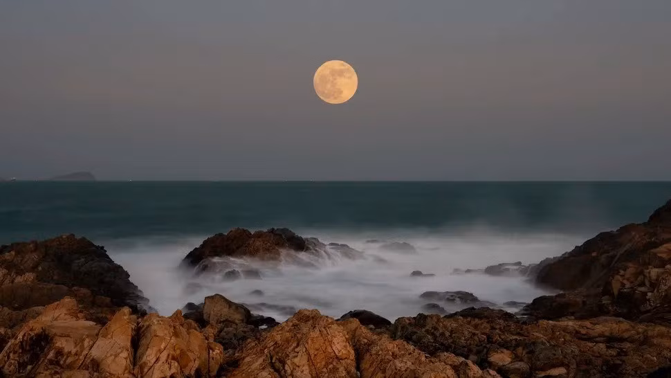 Những người yêu thiên văn sẽ có cơ hội chiêm ngưỡng trăng tròn lớn nhất và sáng nhất trong năm nay vào ngày ngày 5/11. Trăng tròn sẽ đạt đỉnh vào 8h19 sáng giờ miền Đông (tức 20h19 ngày 5/11 theo giờ Việt Nam). Đây là siêu trăng thứ hai trong chuỗi 3 siêu trăng liên tiếp của năm nay. Ảnh: Guang Cao via Getty Images.