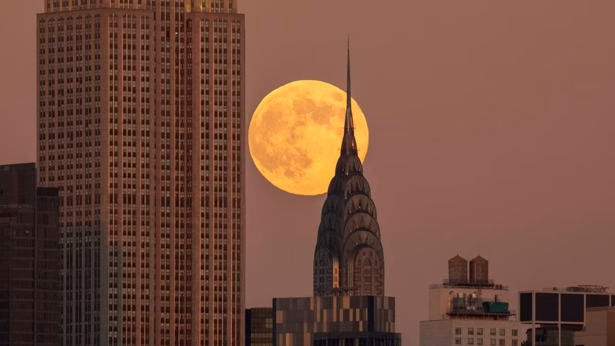 Trăng tròn tháng 11 thường được người dân Bắc Mỹ gọi là "Trăng hải ly" (Beaver Moon). Theo Timeanddate, tên gọi này xuất phát từ việc những con hải ly ở vùng đông bắc Mỹ và Canada thường bận rộn xây đập vào thời điểm này trong năm, dưới ánh trăng tròn. Ảnh: Gary Hershorn/Getty Images.