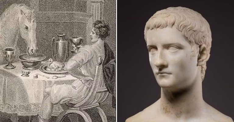 Cụ thể, hoàng đế Caligula sai người làm cho Incitatus một chiếc chuồng chế tác từ đá cẩm thạch, máng ăn làm từ ngà voi quý hiếm. Thậm chí, con ngựa này còn được cho đeo một vòng cổ nạm ngọc. Ảnh: historycollection.com.