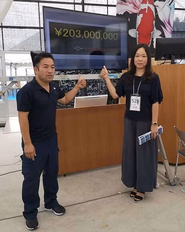 Tuy nhiên, con cá Koi tên S Legend đã chết vào năm 2019, tức một năm sau khi được bán với mức giá kỷ lục. Ảnh: Daily Mail.