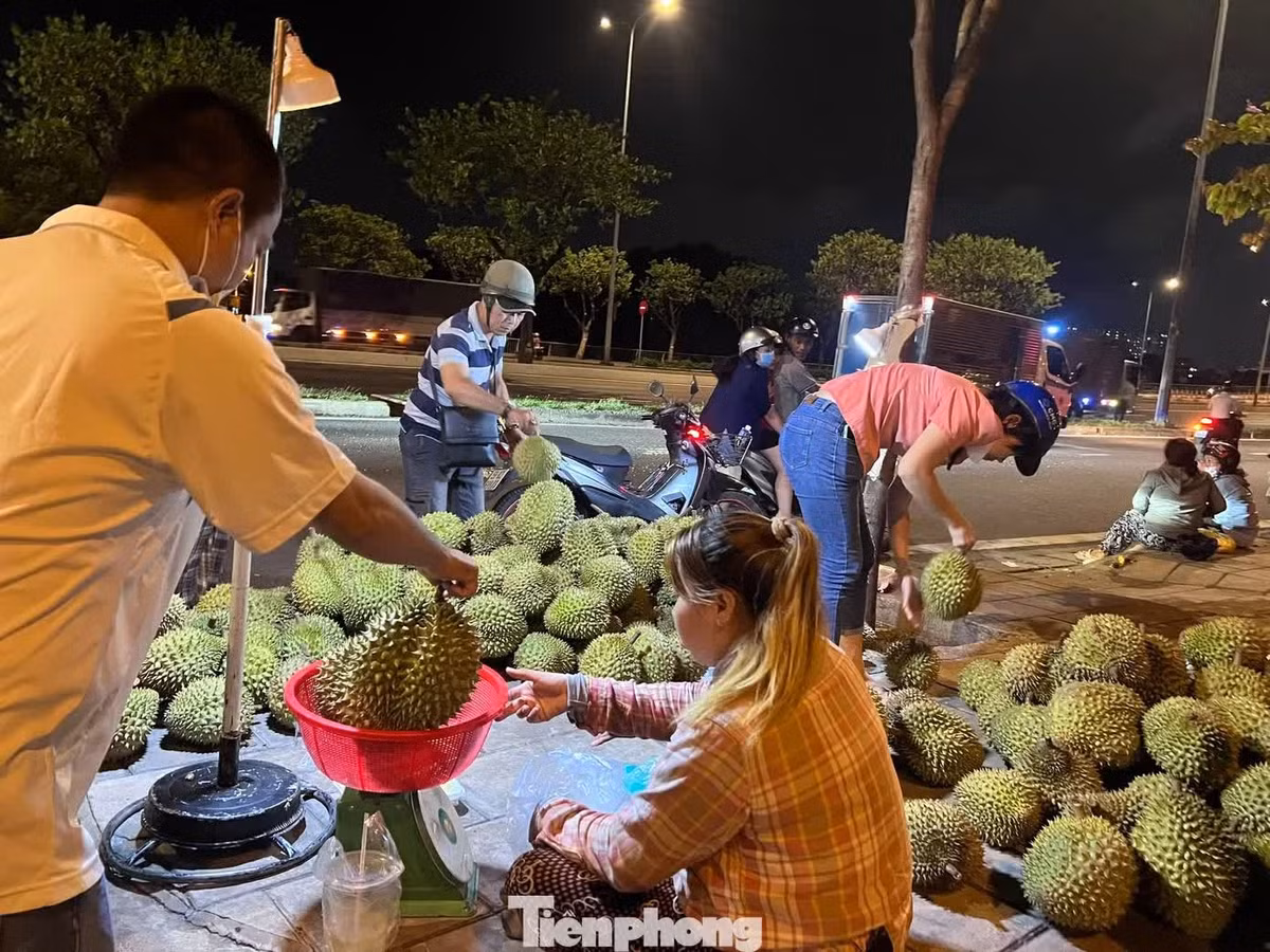 Người bán cho biết đây là sầu riêng Ri6 từ nhà vườn Đồng Tháp. Những hộc sầu riêng đầy ú ụ vàng ươm, hạt lép. Hàng bao ăn