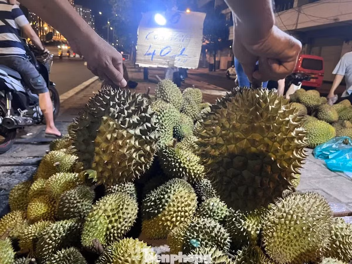 Nhiều quả to tròn đều đồng giá 40.000 đồng/kg. Đây được xem là giá rẻ nhất tại TPHCM tính đến thời điểm hiện tại