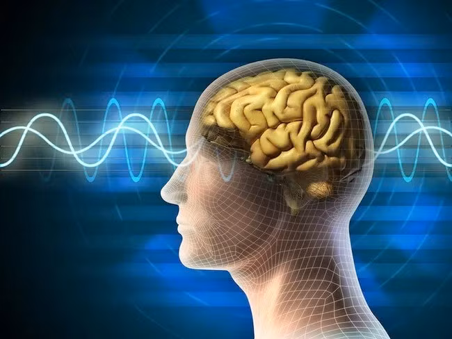 Cụ thể, nhóm chuyên gia đã dùng kỹ thuật phân tích máu dựa trên dữ liệu của 44.498 người (trong độ tuổi 40 - 70) trong cơ sở dữ liệu nghiên cứu sức khỏe tại Vương quốc Anh. Phân tích này giúp họ ước tính độ tuổi sinh học của 11 cơ quan chính trong cơ thể, bao gồm não bộ. Ảnh: Shutterstock.