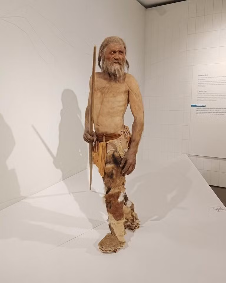 Một nghiên cứu trước đó chỉ ra Otzi có "nguồn gốc nông dân Anatolian cao bất thường". Vậy nên, các nhà nghiên cứu muốn tìm hiểu xem liệu những người hàng xóm của người băng - những người sống ở dãy Alps vào thời Đồ đồng, từ năm 3368 người băng đến năm 3108 trước Công nguyên - có tổ tiên tương tự hay họ có quan hệ họ hàng gần hơn với các nhóm săn bắt hái lượm từ thảo nguyên Á - Âu. Ảnh: Mannivu, CC BY-SA 4.0.