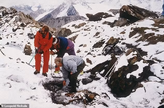 Trong khi dòng dõi bên cha của những người đàn ông thời tiền sử sống ở dãy Alps khá giống nhau, dòng dõi bên mẹ của họ lại đa dạng. Điều này cho thấy phụ nữ có thể đã kết hôn với một nhóm đàn ông gắn bó chặt chẽ. Ảnh: Leopold Nekula.