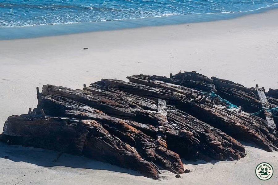Tàn tích của con tàu Lawrence N. McKenzie có niên đại vào thế kỷ 19 đã tìm thấy trên bãi cát của Island Beach State Park, bang New Jersey, Mỹ. Xác tàu đắm lộ ra nhờ hiện tượng xói mòn bờ biển và hoạt động thủy triều gần đây.