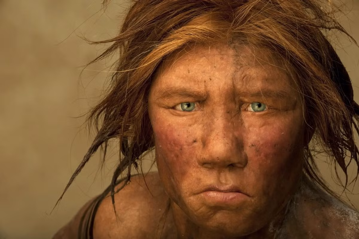 Các nhà nghiên cứu giải thích kỹ hơn rằng, người Neanderthal không thực sự tuyệt chủng mà bị hấp thụ bởi loài người hiện đại Homo sapiens một cách triệt để, đến mức không còn một người nào mang bộ gene người Neanderthal thuần chủng hay có tỉ lệ ADN đủ lớn để có thể xác định là người Neanderthal. Ảnh: Joe McNally/Getty Images/Joe McNally/Getty Images.