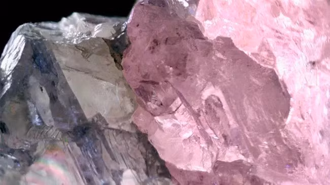 Các chuyên gia tại một phòng thí nghiệm ở Botswana do Viện Đá quý Mỹ (GIA) quản lý gần đây đã kiểm tra một viên kim cương tự nhiên có 2 màu riêng biệt. Ảnh: Photomicrograph by Wanling Tan/GIA.