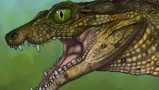 Loài mới xác định thuộc họ Dyrosauridae. Đây là một dòng dõi bò sát giống cá sấu đã tuyệt chủng, là họ hàng xa của cá sấu hiện đại. Ảnh: Dane Johnson/Museum of the Rockies.