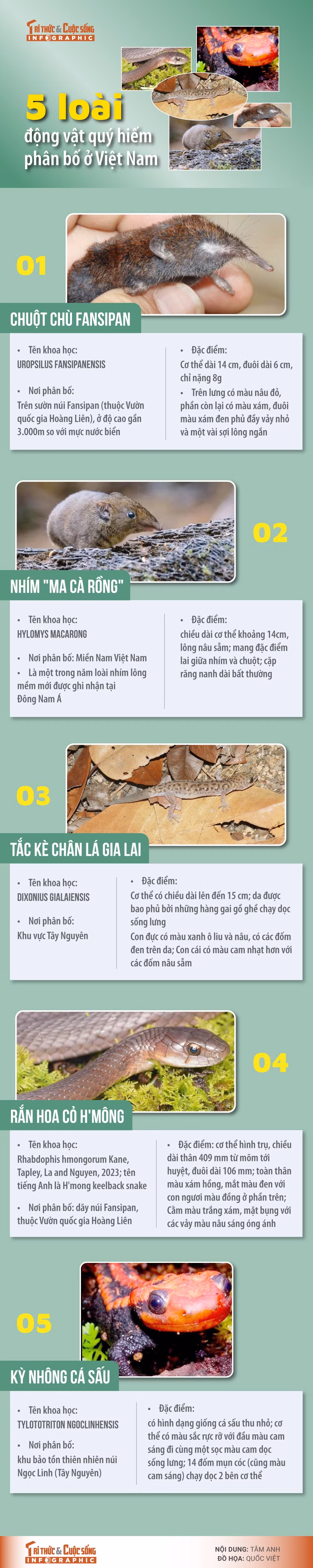 5-loai-dong-vat-quy-hiem.jpg