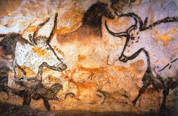 Qua kiểm tra, các nhà nghiên cứu phát hiện bên trong hộp sọ bò rừng có một mảnh vỡ của cột gỗ thông. Kết quả chụp cắt lớp vi tính (CT) được thực hiện sau đó đã xác nhận rằng hộp sọ ban đầu được đặt vào cột gỗ thông qua lỗ chẩm ở phía sau hộp sọ của con bò rừng. Vào một thời điểm nào đó trong quá khứ xa xôi, cột gỗ bị gãy và một mảnh gỗ bị vỡ mắc kẹt bên trong hộp sọ. Ảnh: Prof Saxx / CC BY-SA 3.0.
