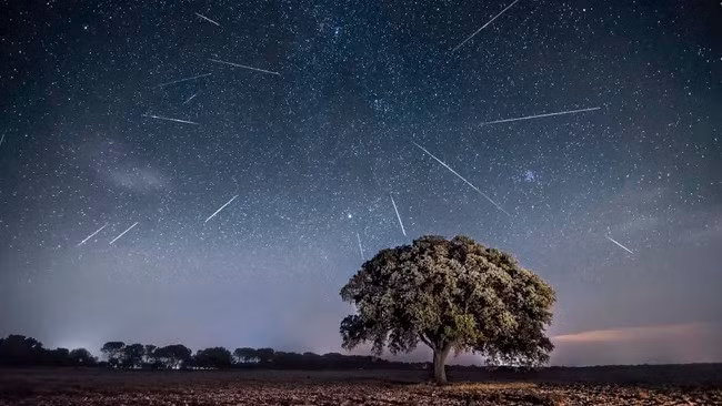 Mưa sao băng Perseid nổi tiếng với những sao băng sáng và nhanh, di chuyển với tốc độ 60 km/giây. Chúng là sản phẩm của những hạt bụi nhỏ còn sót lại trong hệ Mặt Trời do sao chổi 109P/Swift-Tuttle va chạm với bầu khí quyển Trái đất. Khi va chạm, chúng nóng lên và bốc hơi, giải phóng năng lượng có thể nhìn thấy dưới dạng những vệt sáng trên bầu trời đêm. Ảnh: Gabriel Gonzalez (noctografia) / 500px via Getty Images.