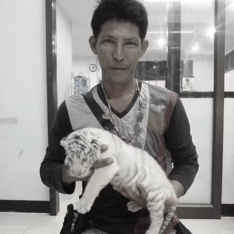 Ông Attapol Charoenchansa, Tổng giám đốc Sở Động vật hoang dã cho biết khu vực xảy ra sự cố trên sẽ vẫn đóng cửa cho đến khi đảm bảo được an toàn cho du khách tham quan vườn thú. Ảnh: ViralPress.