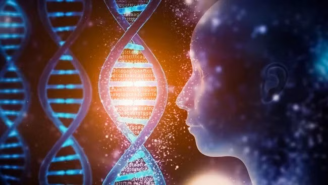 Thông thường, khi một người giao phối ngoài gia đình ruột thịt, họ trộn lẫn gene của mình và dẫn đến ROH thấp. Ngược lại, ROH cao hơn có liên quan đến giao phối cận huyết. Hầu hết những người được chôn cất tại Grotta della Monaca đều có số ROH cho thấy cha mẹ họ có quan hệ họ hàng xa, có lẽ trong vòng 6 - 10 thế hệ. Tuy nhiên, bé trai chưa đến tuổi vị thành niên lại có "tổng số đoạn ROH dài cao nhất từng được ghi nhận trong các bộ dữ liệu gene cổ đại cho đến nay". Ảnh: Alamy.