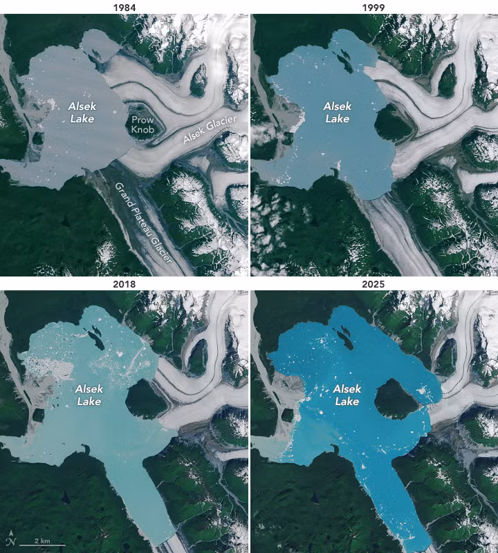 Theo NASA, kể từ năm 1984, diện tích hồ Alsek đã tăng từ khoảng 44 km2 lên 75 km2. Kết hợp với các hồ lân cận là Harlequin và Grand Plateau, tổng diện tích của 3 hồ này đã tăng hơn gấp đôi trong cùng thời kỳ này. Ảnh: NASA Earth Observatory.