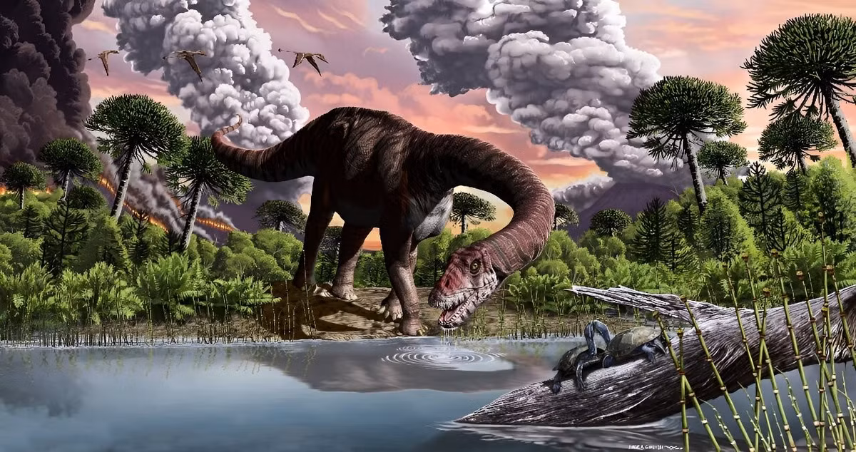 Tiểu hành tinh Chicxulub lao xuống Bán đảo Yucatán đã gây ra sự kiện tuyệt chủng hàng loạt, trong đó khoảng 75% các loài sinh vật đã tuyệt chủng, bao gồm tất cả các loài khủng long, ngoại trừ các loài chim. Ảnh: phys.org.