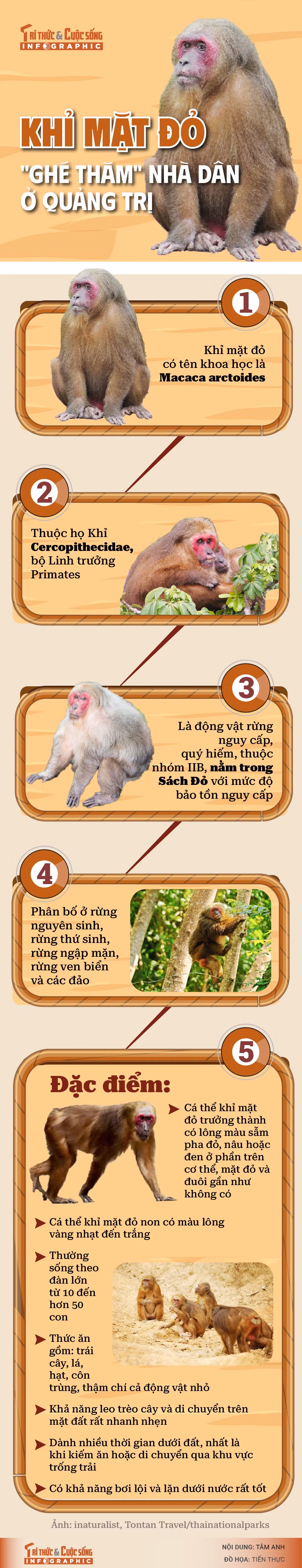 info-khimatdo-01-01.jpg
