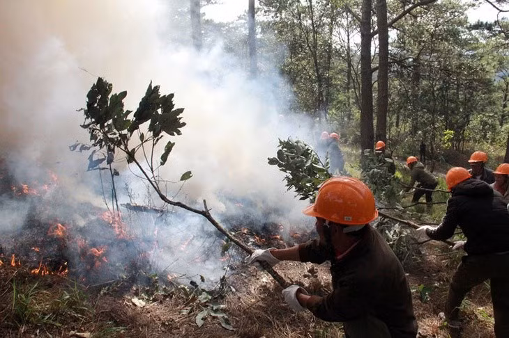 Triển khai các biện pháp cấp bách phòng cháy, chữa cháy rừng.