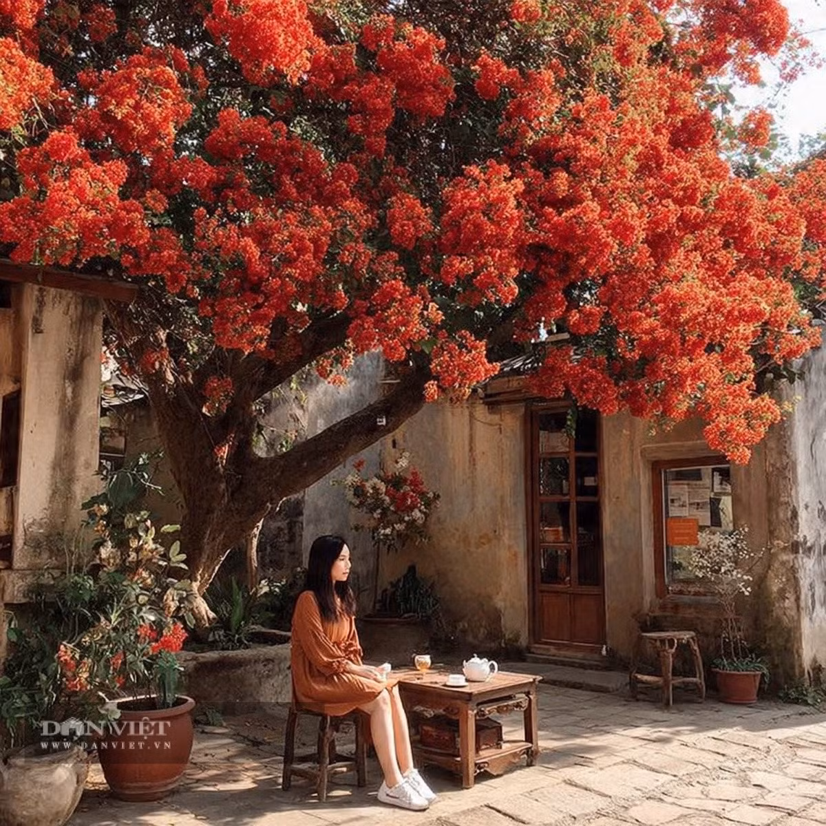 Người sinh ngày 23 tháng 12 Âm lịch không thích sự mưu mô hay lừa dối.