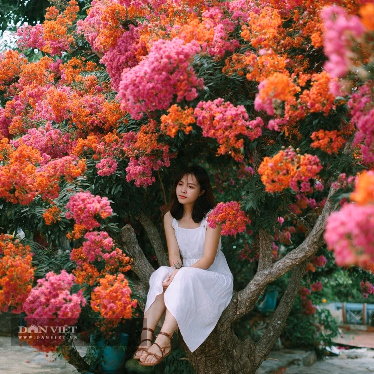 Người sinh ngày 2 tháng 2 Âm lịch có mục tiêu rõ ràng, ý chí mạnh mẽ, không ngại khó khăn