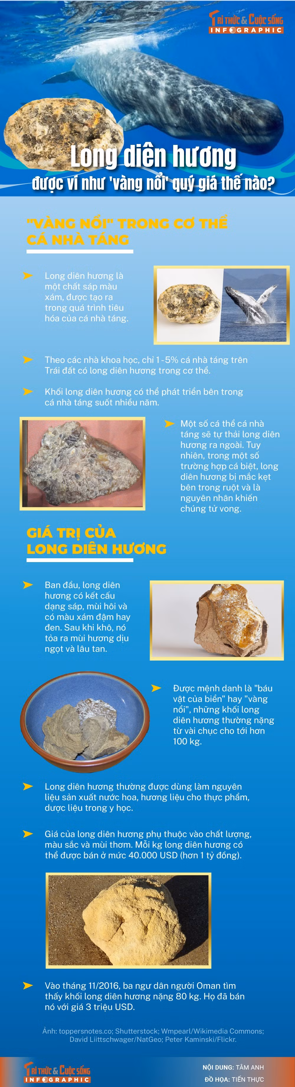 info-longdienhuong-01.jpg