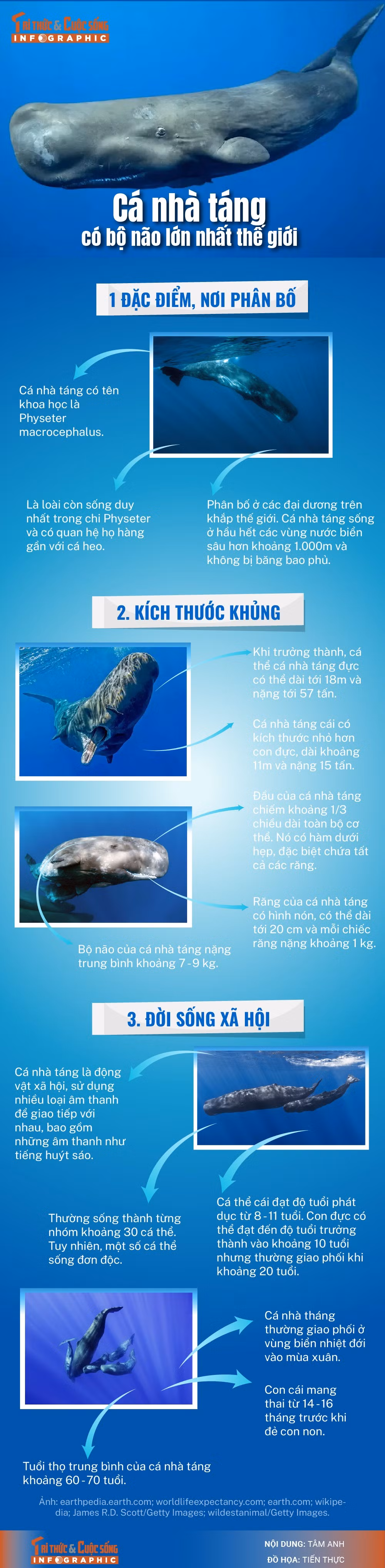 info-canhatang-01.jpg