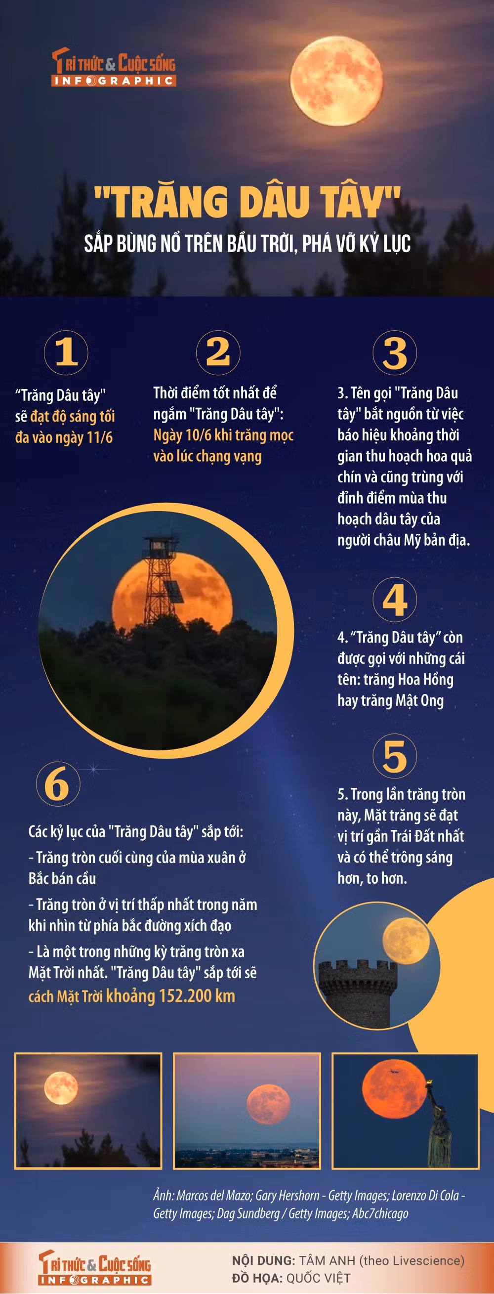 trang-dau-tay.jpg