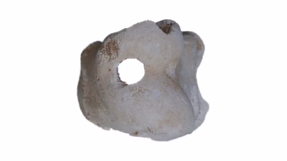 Pharaoh Akhenaten đã chuyển tôn giáo Ai Cập từ đa thần sang độc thần - tức chỉ thờ phụng một vị thần duy nhất là thần Mặt trời Aten. Ảnh: Michelle Langley.