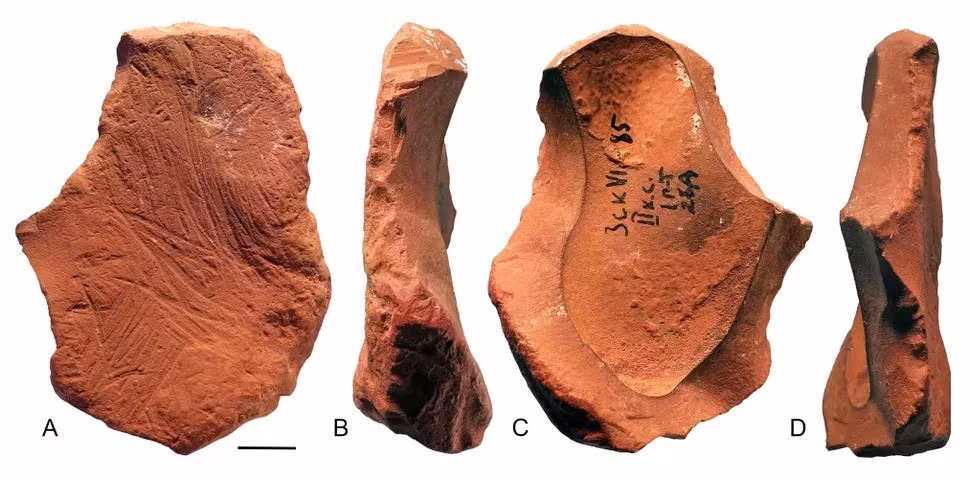 Những người Neanderthal sống ở vùng đất ngày nay là Crimea đã tạo ra những chiếc bút chì màu từ đất son, một khoáng chất chứa sắt có thể được sử dụng làm chất màu. Ảnh: d'Errico et al., Sci. Adv. 11, eadx4722; CC BY 4.0.