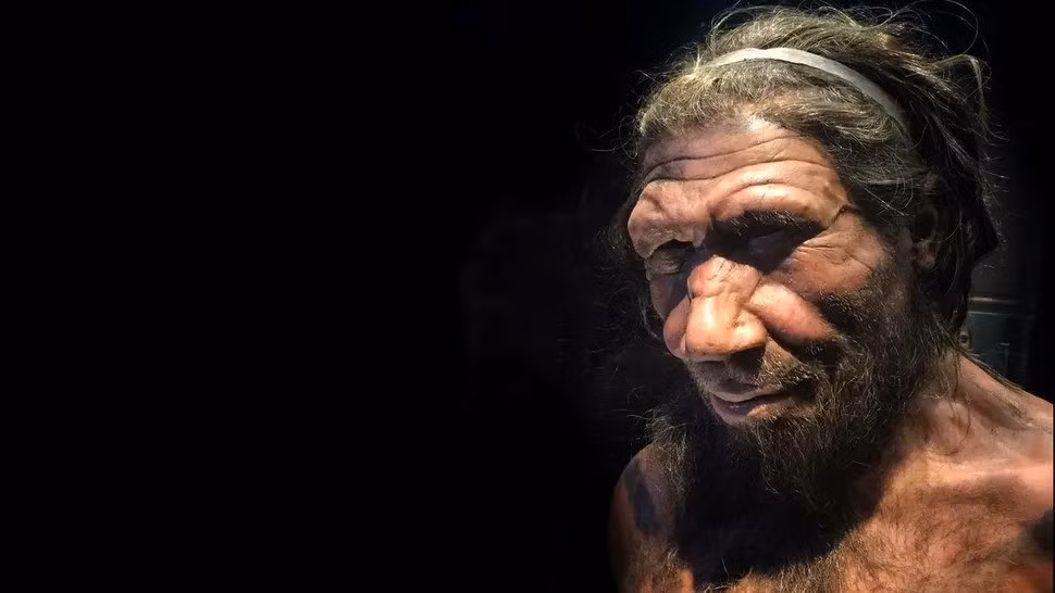Một loại protein giúp tổng hợp ADN ở người hiện đại khác với ở người Neanderthal và người Denisova - họ hàng tuyệt chủng gần nhất của chúng ta. Thêm nữa, các thí nghiệm mới trên chuột được biến đổi gene được các chuyên gia tiến hành nhằm hiểu rõ hơn về người hiện đại và những người họ hàng. Các nhà nghiên cứu đề xuất trong một nghiên cứu mới rằng khám phá về loại protein trên có thể làm sáng tỏ lý do tại sao người Neanderthal và người Denisova tuyệt chủng. Ảnh: Allan Henderson (CC BY 2.0).