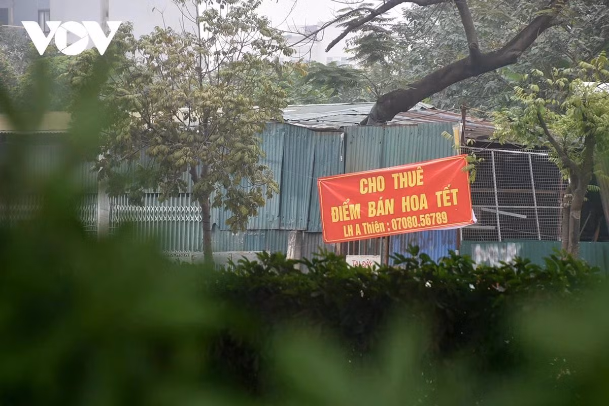 Ghi nhận của phóng viên, đến thời điểm hiện tại tình trạng lộn xộn kinh doanh buôn bán đào quất chiếm vỉa hè, lòng đường rầm rộ như mọi năm nhưng một số tuyến phố đã xuất hiện rao cho thuê điểm bán hoa Tết. Ông Bá một người dân sống ở phố Lò Đúc (phường Hai Bà Trưng) cho biết, các năm trước tại khu vực vườn hoa Pasteur, Yersin thường không tổ chức chợ hoa nhưng năm nay lại cho hoạt động chợ hoa Tết. Việc này khiến người dân quanh đây bất ngờ do tạm thời mất không gian sinh hoạt thể dục".