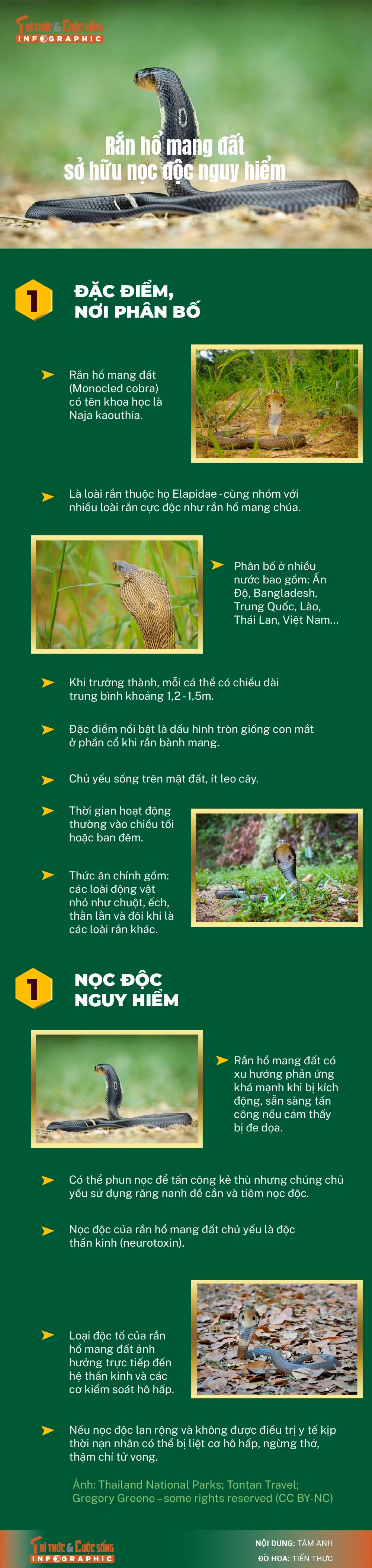 info-ran-homang-dat-01.jpg
