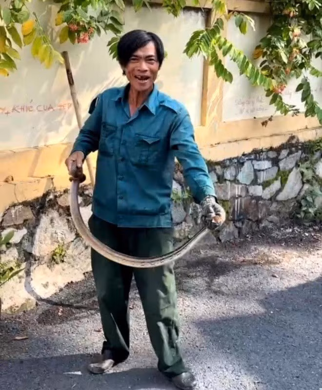 Do con rắn có kích thước to lớn nên gia đình anh Minh không dám lại gần. Nhiều người dân gần đó đã tới xem nhưng giữ khoảng cách vì sợ bị tấn công. Ảnh: Znews.