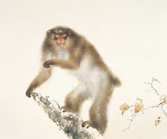 Trong tuần tới, tuổi Thân có thể nhận được khoản thưởng hậu hĩnh cũng như lời đề nghị thăng chức, tăng lương. Con giáp này cũng có thể phát hiện dự án đầu tư tiềm năng. Với khả năng quan sát nhạy bén, người tuổi Thân làm giàu không khó.