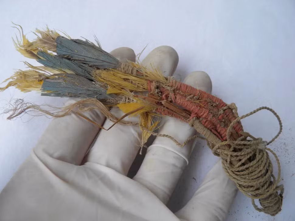 Mới đây, một nhóm các nhà nghiên cứu quốc tế đã phân tích DNA và thành phần hóa học của những chiếc lông vẹt và đi đến kết luận chúng thuộc về những con vẹt Amazon. Số vẹt này đã được vận chuyển và có khả năng là được buôn bán, qua các dãy núi, trước khi bị nuôi nhốt ở khu vực ngày nay là bờ biển Peru. Ảnh: George Olah.