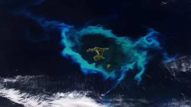 tienn-4.png