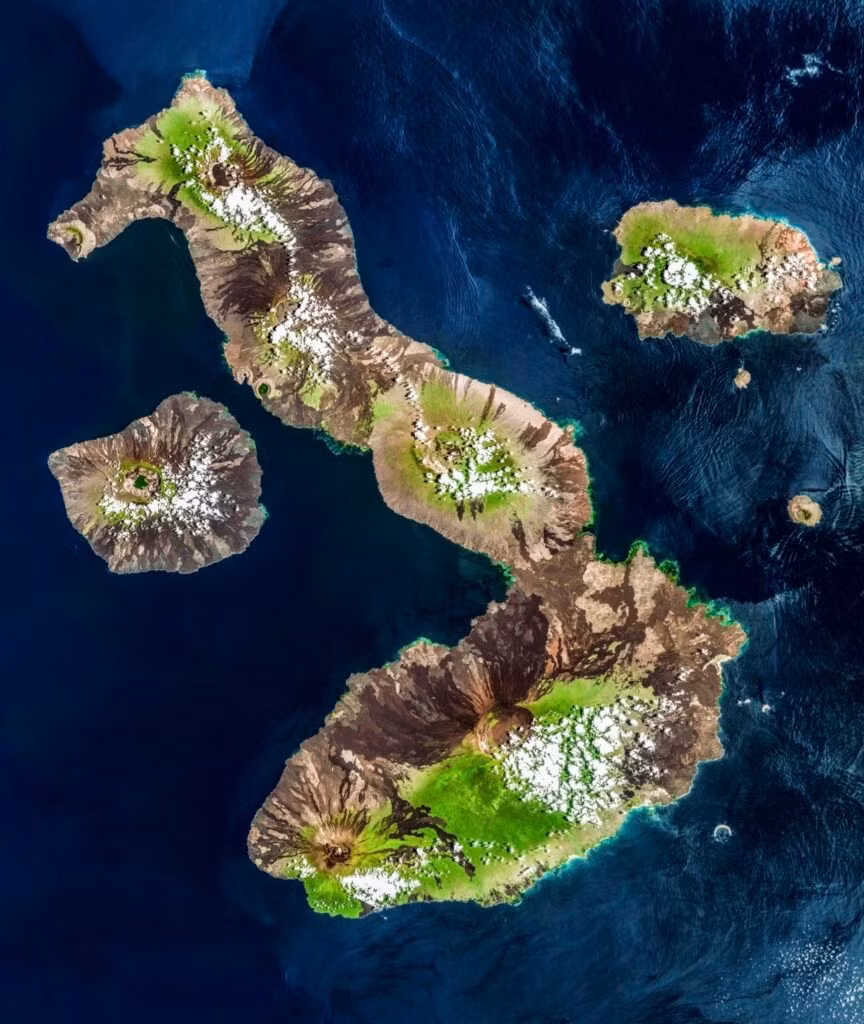 Với diện tích 4.640 m2, Isabela là hòn đảo lớn nhất trong quần đảo Galapagos của Ecuador. Đảo được hình thành khoảng 1 triệu năm trước, với sự hợp thành của 6 ngọn núi lửa đang hoạt động. Khi nhìn từ trên cao, Isabela trông giống con cá ngựa "khủng". Ảnh: galapagos-ecolodge.com.