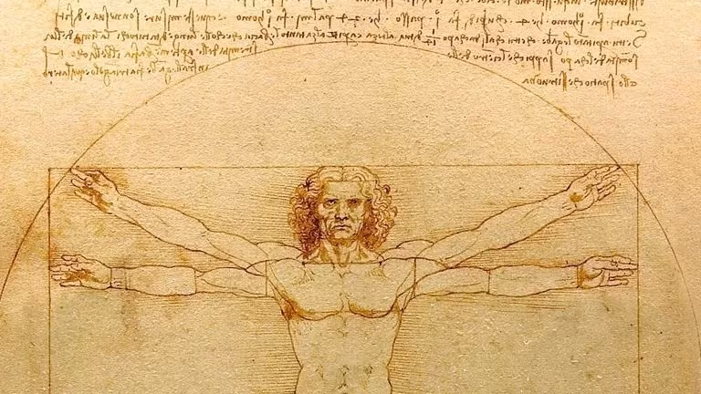 Tiến sĩ Rory tin rằng danh họa Da Vinci đã nắm rất rõ nguyên lý thiết kế lý tưởng của cơ thể người nhưng không bao giờ giải thích rõ ràng điều đó. Thiên tài này đã đi trước thời đại hàng thế kỷ. Ảnh: Museum of Science.