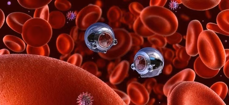 Theo ông Ray, một trong những bước tiến quan trọng là phát triển nanobot hoạt động bên trong mạch máu để duy trì sức khỏe mà không cần sự giám sát y tế liên tục. Ảnh: Corona Borealis Studio/Shutterstock.com.