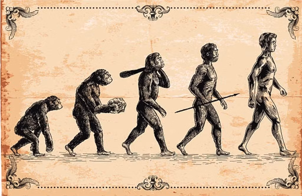 Trong khi đó, Australopithecus deyiremeda có nguồn thức ăn hạn chế hơn, chủ yếu từ cây bụi và cây gỗ - giống các loài hominin cổ sơ hơn. Với sự khác biệt này, 2 loài có thể tránh được việc cạnh tranh trực tiếp và cùng tồn tại. Ảnh: vocal.media.