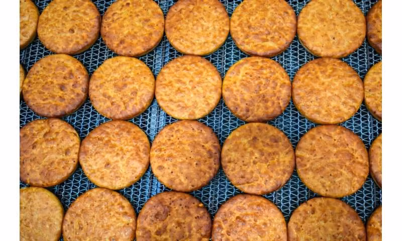 Theo các chuyên gia, chiếc bánh mì trên đã được người xưa đốt rồi chôn xuống dưới ngưỡng cửa một ngôi nhà sau khi xây xong vào khoảng năm 3300 trước Công nguyên. Đây có thể là một nghi lễ cầu mong sự sung túc. Ảnh: phys.org.