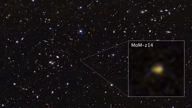 NASA và kính viễn vọng không gian James Webb (JWST) tiếp tục phá vỡ giới hạn quan sát khi phát hiện thiên hà MoM-z14. Trong nghiên cứu mới công bố trên tạp chí Open Journal of Astrophysics, nhóm nghiên cứu cho biết thiên hà MoM-z14 là "nguồn được xác nhận bằng quang phổ xa nhất từng ghi nhận, mở rộng phạm vi quan sát tới giai đoạn chỉ 280 triệu năm sau vụ nổ Big Bang". Ảnh: ASA, ESA, CSA, STScI, Rohan Naidu (MIT); Image Processing: Joseph DePasquale (STScI).