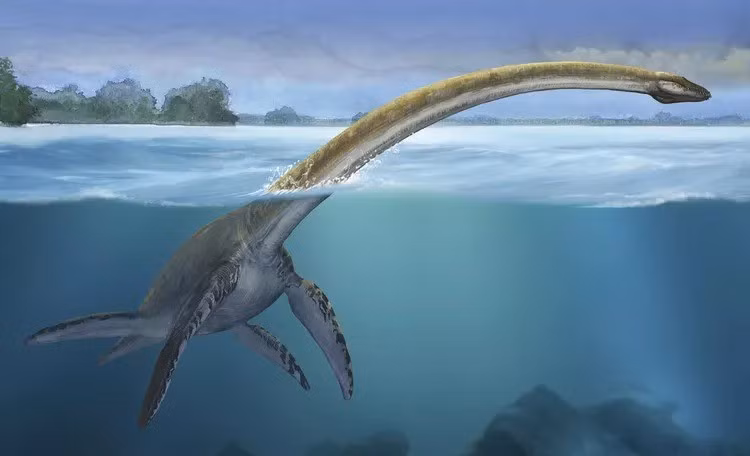 Kể từ khi Sổ Đăng ký Quan sát Quái vật hồ Loch Ness được lập năm 1996, hơn 1.000 báo cáo được ghi nhận. Ảnh: Sergey Krasovskiy / Stocktrek Images / Getty Images.