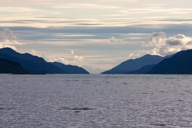 Những câu chuyện về “quái vật hồ Loch Ness” bắt đầu xuất hiện từ thời Trung cổ. Khi đó, tu sĩ Ireland St Columba được cho là đã bắt gặp sinh vật lạ khi đi thuyền trên hồ Loch Ness. Ảnh: Ivan / Getty Images.
