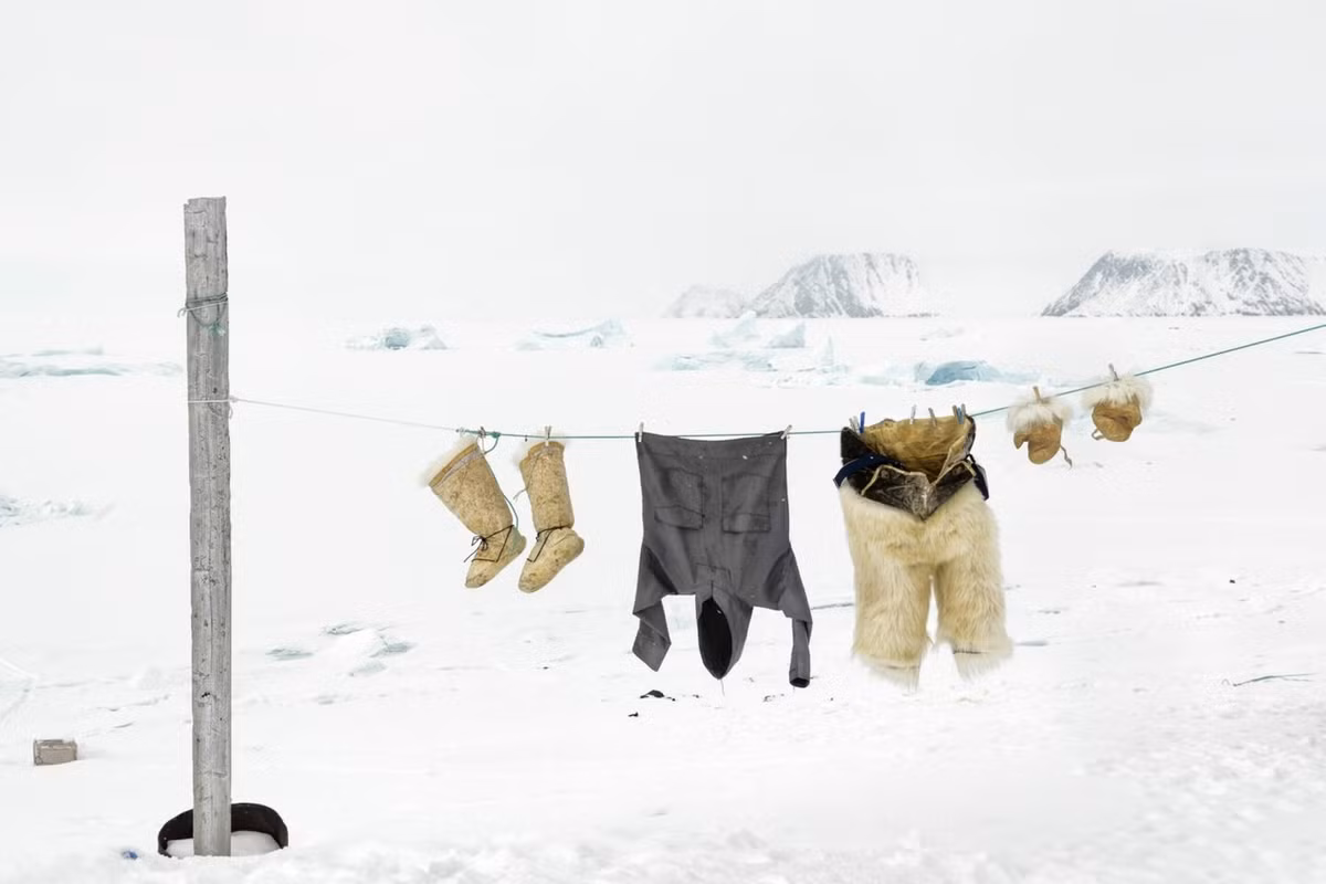 Để trở thành thợ săn chuyên nghiệp, các bé trai người Inuit phải học việc bên thợ săn lành nghề, học cách điều khiển bầy chó kéo xe. Thêm nữa, họ cũng học cách hiểu con mồi, hành vi và thói quen di chuyển của chúng, cách chúng thay đổi theo mùa. Việc trở thành thợ săn là điều mà hầu hết đàn ông Inuit hướng tới. Ảnh: Tiina Itkonen, Justin Lewis.