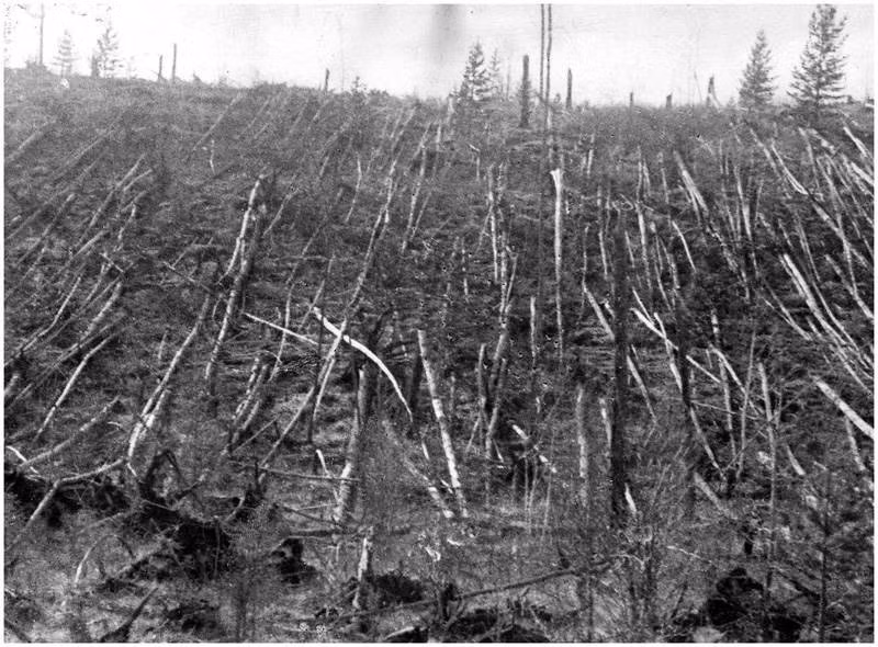 Sức nóng và ánh sáng chói lòa từ vụ nổ bí ẩn trên đã làm rung chuyển Tunguska, Siberia. Khoảng 80 triệu cây trên vùng đất rộng 2.150 km2 đã đổ rạp và vụ nổ thắp sáng bầu trời đêm. Ảnh: ATI.