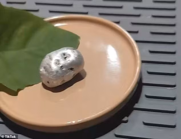 Một tuần sau bài đăng đầu tiên, Kin tuyên bố hố đất - nơi tìm thấy thiên thạch - phát sáng vào ban đêm và chia sẻ video ghi lại sự việc kỳ bí. Những video sau đó tiếp tục ghi lại cảnh khối vật chất dầu nhớt, đen bóng giống xúc tu đang lan rộng nhanh chóng từ các khe nứt của tảng đá trước khi bao phủ toàn bộ bề mặt thiên thạch. Ảnh: TikTok.